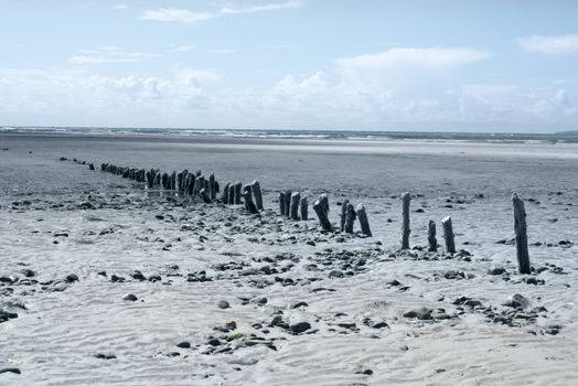 old rotting wave breakers at the mouth of the cashen on ballybunion beach on the wild atlantic way