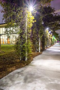 citty alley sidewalk at night