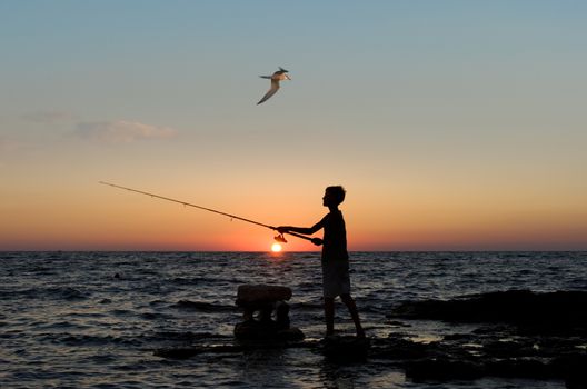 The person fishes. A sea landscape. The beautiful evening sky. The seagull flies.
