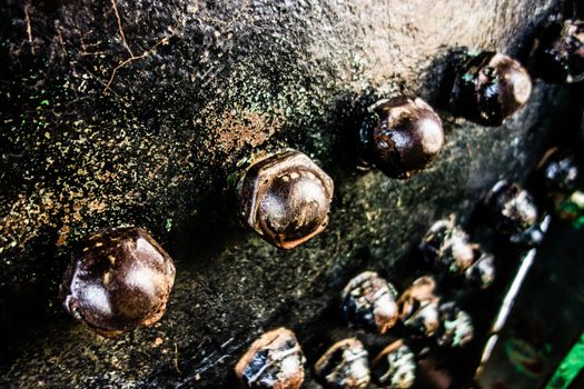 Industrial abstract background texture with black steel structure with bolts and rivets