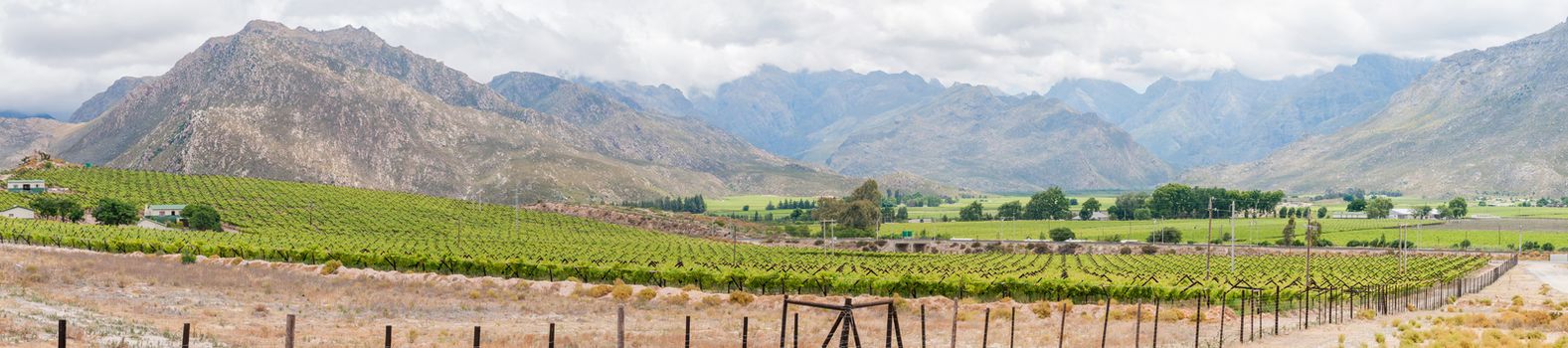 Panoramic view to the west from the N1 road to the mountains of the Hex River Valley in the Western Cape Province of South Africa
