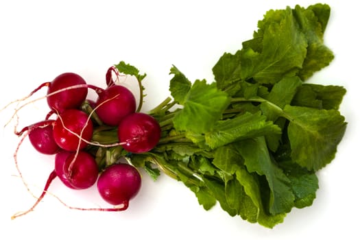 Bunch of fresh red radishes with green tops isolated on white background