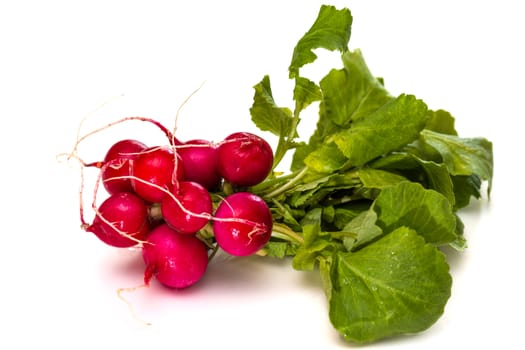 Bunch of fresh red radishes with green tops isolated on white background