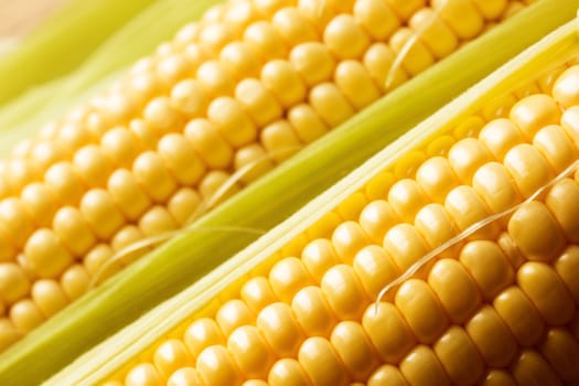 Close up view of fresh corn cobs