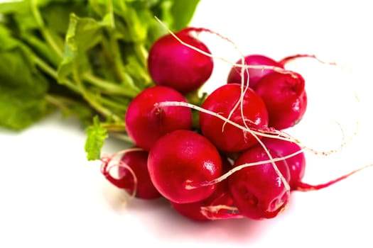 Bunch of fresh red radishes with green tops isolated on white background