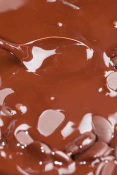 Ingredients for preparation of artigianal chocolate bar with dried fruits