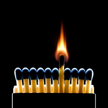 Many dark blue matches on a black background (one match burns).