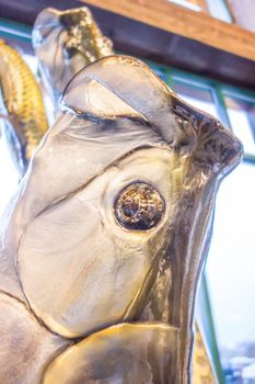 fish head statue on display