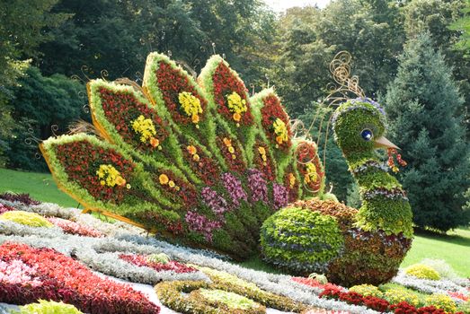 Fantastic bird (made of flowers). Ukraine, Kiev, Singing field.