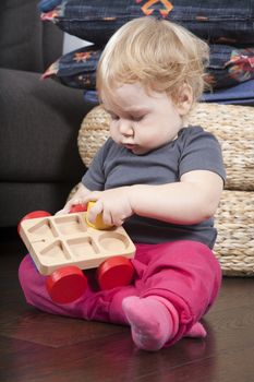 one year age blonde lovely cute caucasian white baby grey shirt pink trousers and shocks playing with wheel wooden colors toys indoor on brown floor