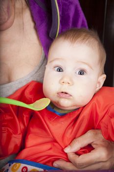 six months age blonde caucasian baby red bib in woman mother purple velvet jacket arms eating puree with green plastic spoon