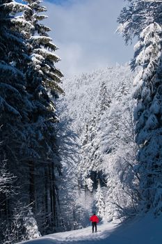 Cross-country skiing: young man cross-country skiing on a lovely sunny winter day