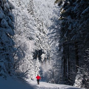 Cross-country skiing: young man cross-country skiing on a lovely sunny winter day