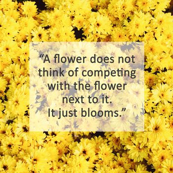 Inspirational quote on yellow blossom flowers with retro filter effect