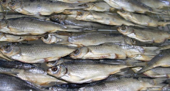 Background of dried fish. Nature fish