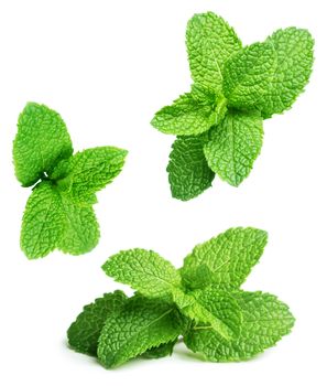 Green mint leaves falling down isolated on white background