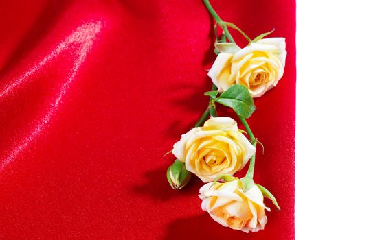 Yellow roses on red silk background