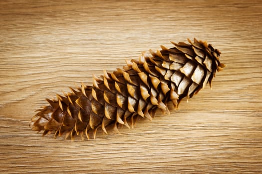 Pine cone on wooden background