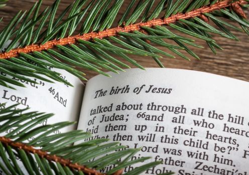 Bible open to Christmas passage with evergreen sprigs