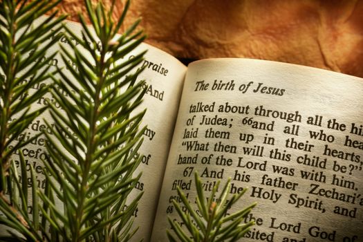 Bible open to Christmass passage with evergreen sprigs