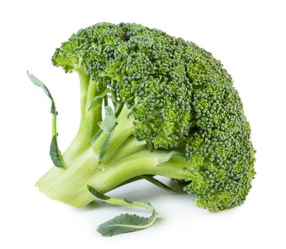 Fresh raw green broccoli isolated on white background
