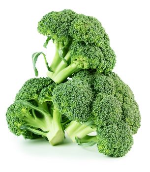 Tree fresh whole broccoli isolated on white background