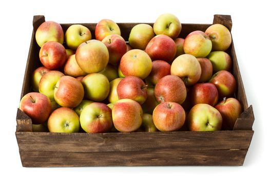 Ripe fresh apples in box isolated on white background