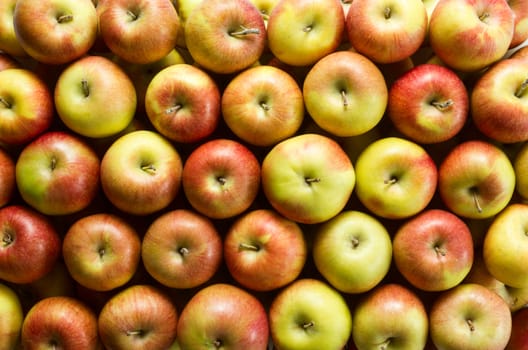 Fresh whole apples background