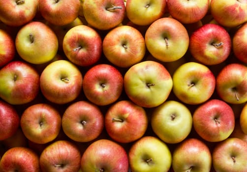 Fresh whole apples background