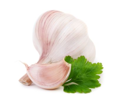 Garlic with parsley isolated on white background