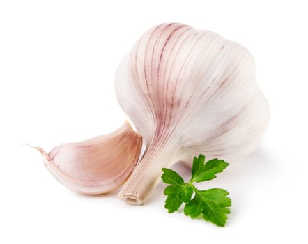 Garlic with parsley isolated on white background