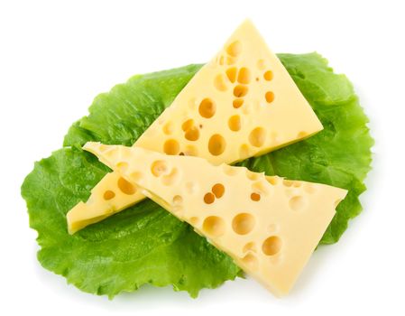 Cheese with green lettuce salad leaves isolated on white background