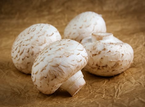 Fresh whole mushrooms on brown background