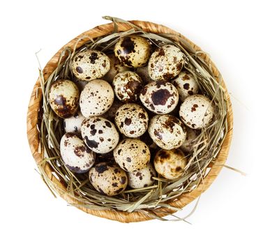 Nest with quail eggs isolated on white background
