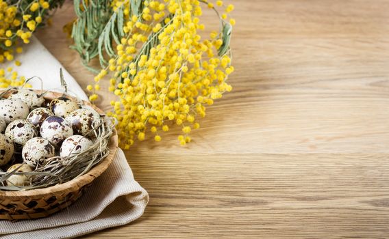 Quail eggs with mimosa branch on wooden table