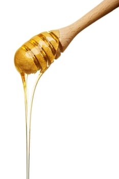 Honey dipper isolated on white background
