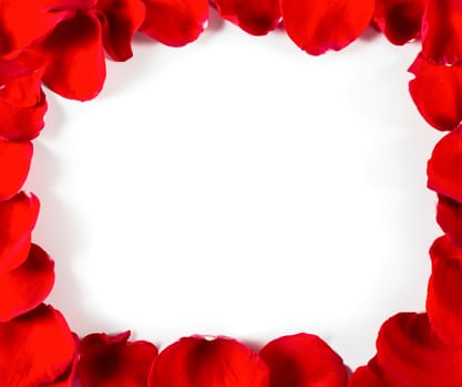 Rose petal frame isolated over white background