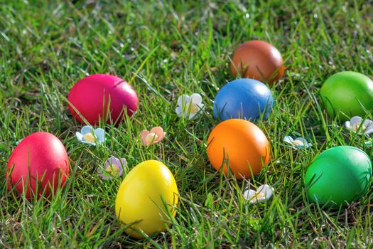 Easter eggs in the green grass
