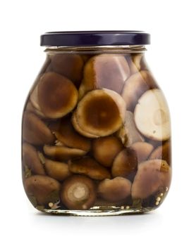 Mushrooms marinaded in glass jar on a white background 
