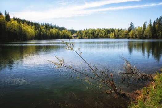 Lake in the Oslo forest, Norway.