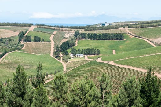 SIR LOWRYS PASS, SOUTH AFRICA - DECEMBER 4, 2014: View of a wine farm near Sir Lowrys Pass