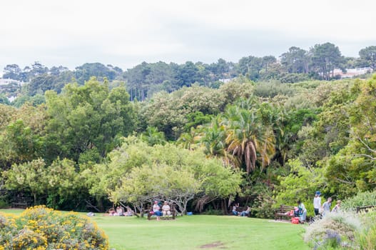 CAPE TOWN, SOUTH AFRICA - DECEMBER 9, 2914: Unidentified people enjoying the serenity in the Kirstenbosch National Botanical Gardens