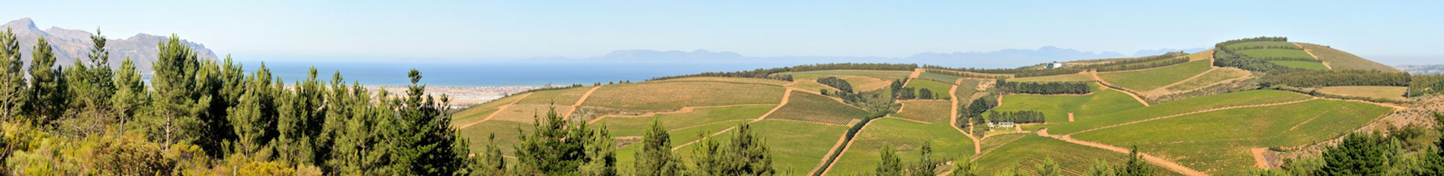 SIR LOWRYS PASS, SOUTH AFRICA - DECEMBER 4, 2014: Panoramic view of a wine farm near Sir Lowrys Pass. Gordons Bay is in the back