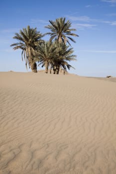 Dunes in Moroccan Sahara, colorful vibrant travel theme