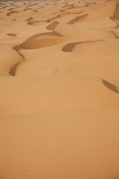 Desert dunes in Morocco, colorful vibrant travel theme