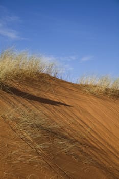 Moroccan desert dune, merzouga, colorful vibrant travel theme