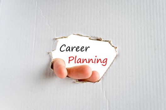 Career Planning Concept Isolated Over White Background