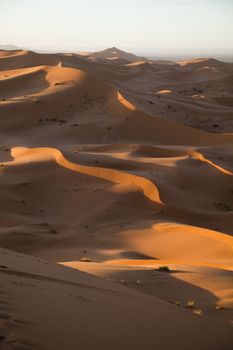 Desert sand, colorful vibrant travel theme