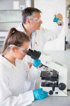 Team of scientists at work at the laboratory