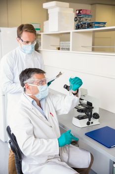 Team of scientists working together  at the laboratory
